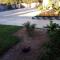Cheapest Guest House in Klerksdorp