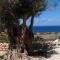 Baia Cofano Home