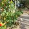 Hakuna Matata Holidays Agalia with airco & pool in Greek Olive Grove