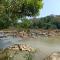 Sunny Eco Lodge