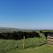 Boscastle View