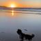 1 Putsborough - Luxury Apartment at Byron Woolacombe, only 4 minute walk to Woolacombe Beach! - 伍拉科姆