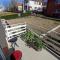 Apartman Bor