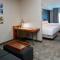 Springhill Suites by Marriott Frankenmuth - فرانكينموث