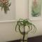 Aloe House : self-catering in a natural paradise