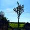 Longstone Luxury Country Boutique Two Bedroom Cottage, Exmoor, Challacombe, North Devon - Challacombe