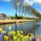 Nice Home In Damme With Wifi