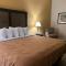 Quality Inn - Maysville