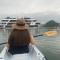 Le Theatre Cruises - Wonder on Lan Ha Bay - Ha Long