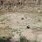 Ecostay de Wildernis