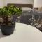 Apartmani Asper