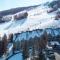 Blue Mountain Ski In Ski Out Resort Condo 2 Level
