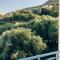 Ionian Breeze Apartments Borsh