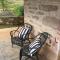 OBriens of Clare - Stylish Pet Friendly Vineyard Accommodation