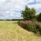 Swallows Return - Bilsington