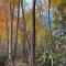 Beech Creek Cabin, lower unit, Black Mountain