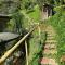 Loft bambu