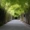 The Jineng Villas by Ekosistem