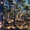Cozy Holiday Home By Beautiful Beach And Forest