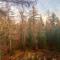 Boutique Chalet Veluwe