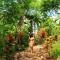 Natura Gardens Galápagos