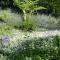 Lower Marsh Farm in Cornwall - Saltash