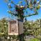 Vakantiechalet Jonagold 4 personen Vakantiechalet Jonagold 4 personen