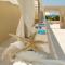 Dolphin Resort & Conference Foto: Dolphin Resort & Conference