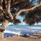 Unwind in Woombye