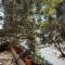 Frishman beach 2Br full of art and light - 特拉维夫
