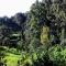 Ecovale Kijabe - 3 Bedroom House Kiambu Great Forest Views