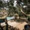 Villa Balleti - private pool with a view
