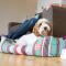 Skylark sleeps 8 private Hot Tub & Dogs welcome Nr Padstow, Resort Pool Bar & Watersports