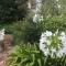 Jasmine Guest Cottage