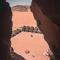 Shaheen Camp Wadi rum