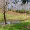 Spring View - Sevierville