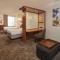 SpringHill Suites by Marriott Philadelphia Airport / Ridley Park