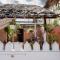 Tulia House Backpackers - Mombasa