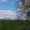 Lakes and Eden Valley. Thornhill Cabin - Long Marton