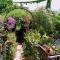 The Secret Garden Maratea - Casa di Sery