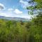 Edens View