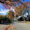 Quiet, new, sunny CNZhouse on upstairs near CBD - 基督城