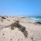 Dunes resort to relax Wifi