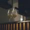 Regency Boutique Hotel Holiday Suites