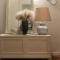 Rosymarty Apartment-vicino Firenze