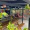 Pura Vida Hostel