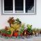 Stay Inn Sikamat (Seremban Homestay)