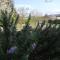 Guest House Surina