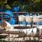 A beachfront villa near Omiš with a sauna and a gym