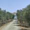 Kiti Village Villa, Cyprus, salt-water pool, 5 bedrooms, Larnaca